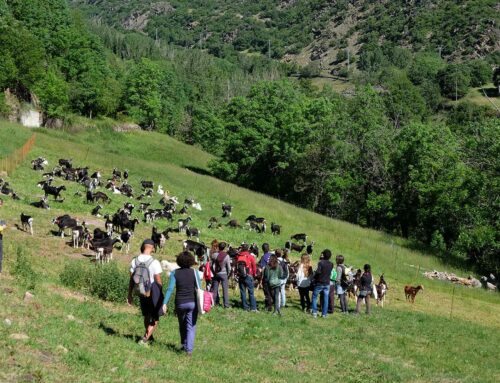 Postgrau de Dinamització Local Agroecològica