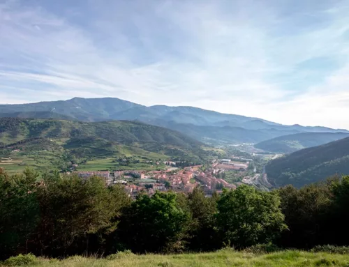 Estratègia de Desenvolupament Local 2023-2027 de l’Associació Leader Ripollès Ges Bisaura