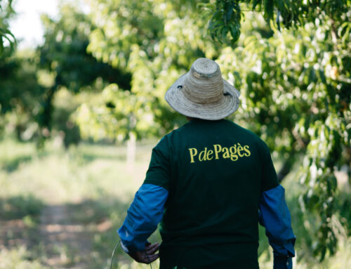 Secretaria tècnica APAM